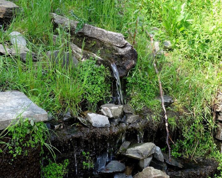 Jagdstube im Hotel Jagdhaus Wiese