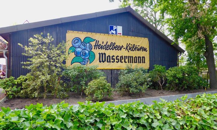 Wassermann Heidelbeeren